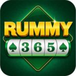 Rummy 365 APK Download