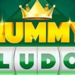 Rummy Ludo